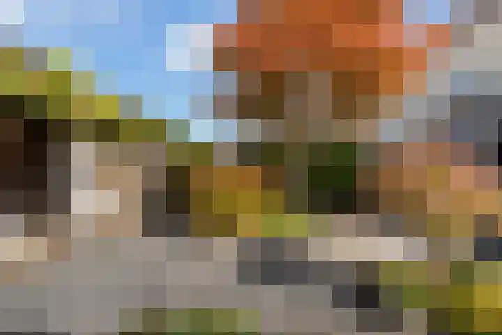 Windbaan 48 Zeewolde thumbnail 22