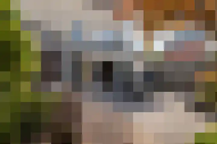 Windbaan 48 Zeewolde thumbnail 28