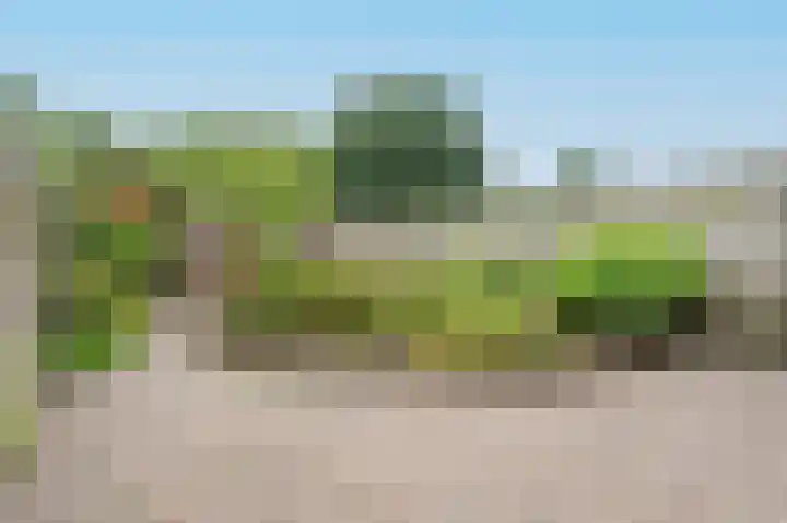 Windbaan 96 Zeewolde thumbnail 29
