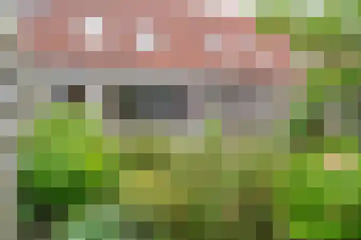 Windbaan 96 Zeewolde thumbnail 31