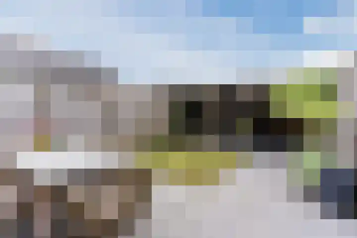 Windberg 11 Heeswijk-Dinther thumbnail 37