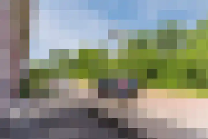 Windberg 11 Heeswijk-Dinther thumbnail 38