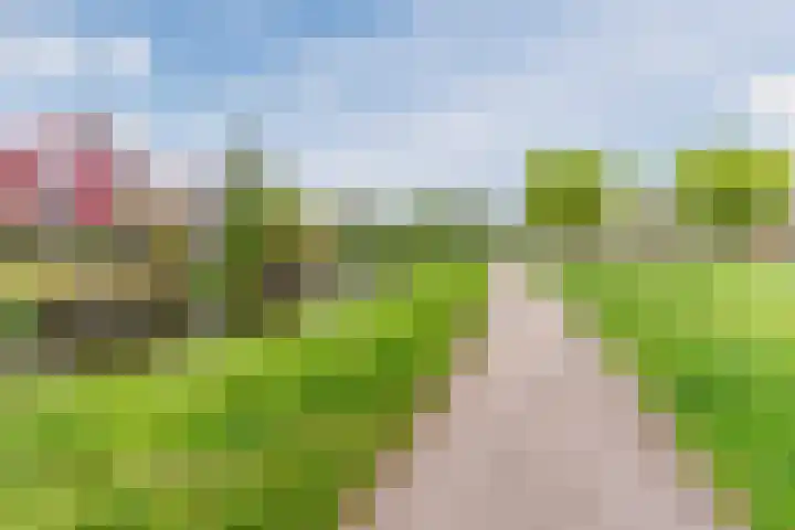 Windberg 11 Heeswijk-Dinther thumbnail 39