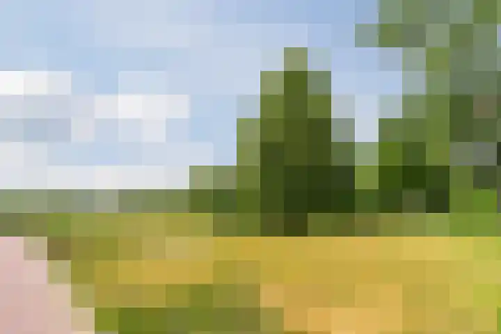 Windberg 11 Heeswijk-Dinther thumbnail 41