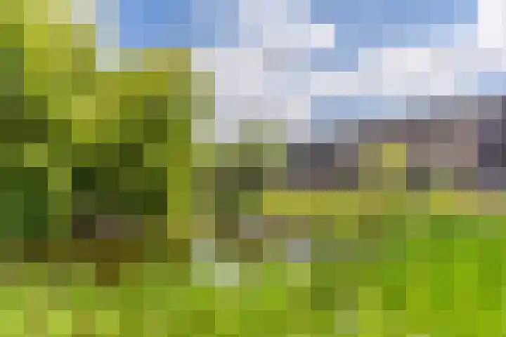 Windberg 11 Heeswijk-Dinther thumbnail 42