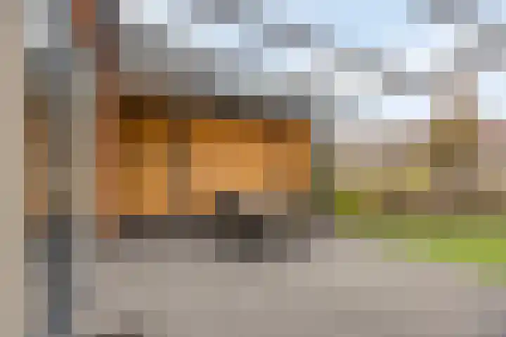 Windberg 27 Heeswijk-Dinther thumbnail 41
