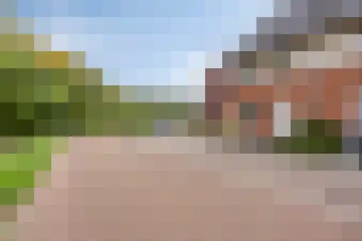 Windberg 27 Heeswijk-Dinther thumbnail 48