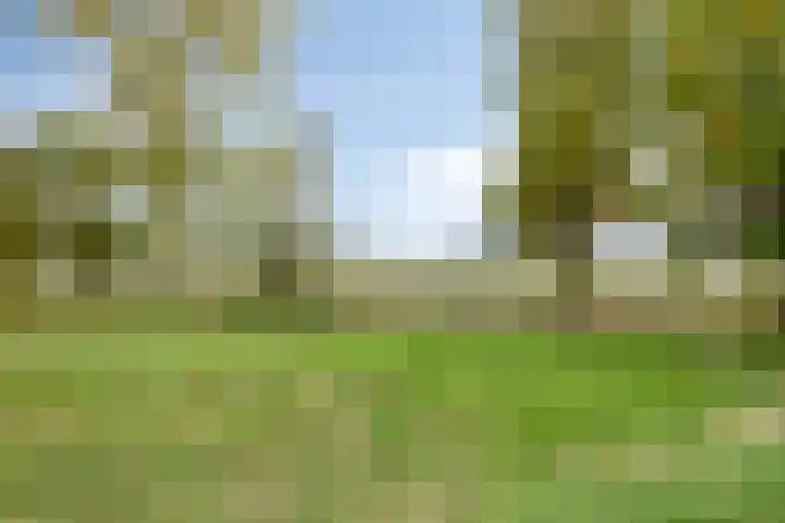 Windberg 29 Heeswijk-Dinther thumbnail 26
