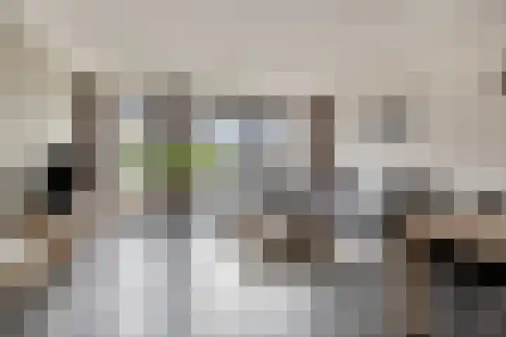 Windberg 37 Heeswijk-Dinther thumbnail 4