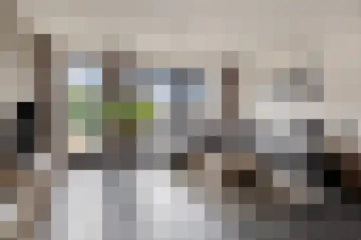 Windberg 37 Heeswijk-Dinther thumbnail 5