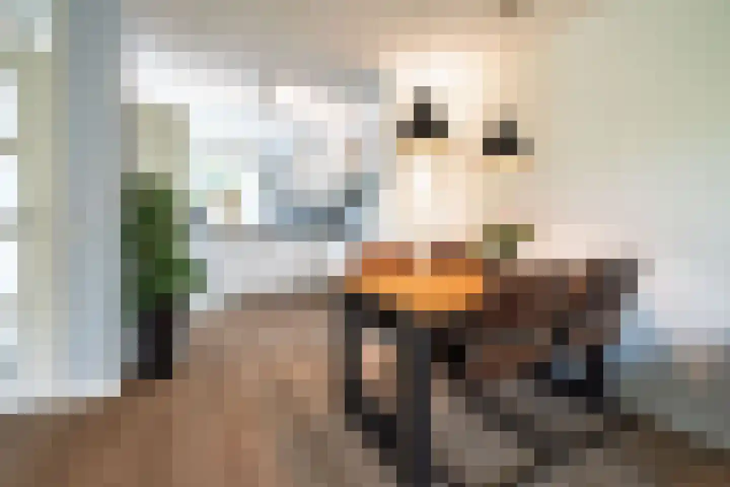 Winde 11 Bennekom thumbnail 10