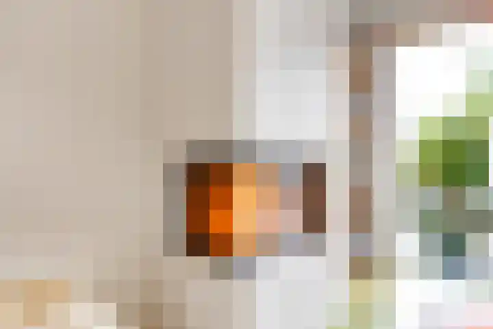 Winde 123 Zeewolde thumbnail 10