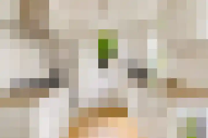 Winde 123 Zeewolde thumbnail 21