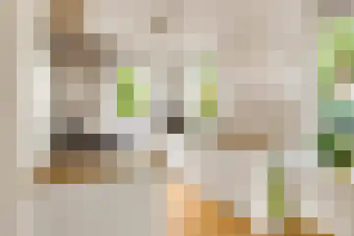 Winde 123 Zeewolde thumbnail 22