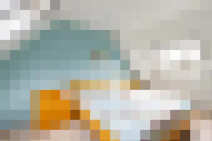 Winde 123 Zeewolde thumbnail 38