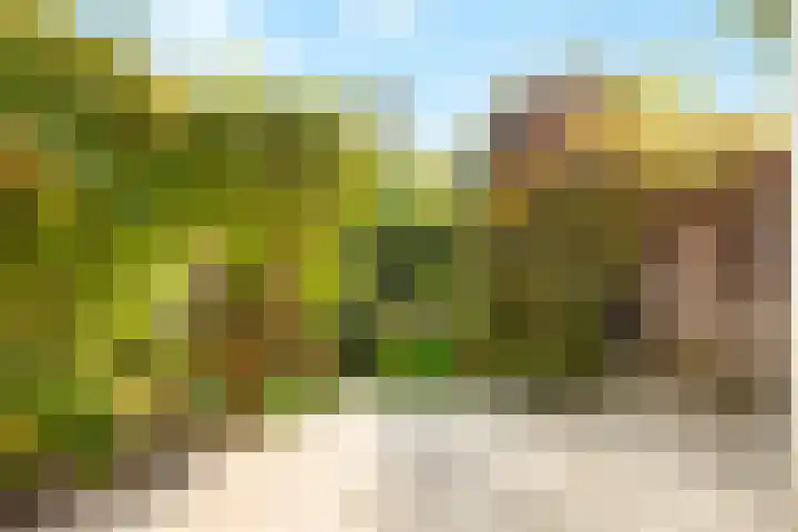 Winde 123 Zeewolde thumbnail 42
