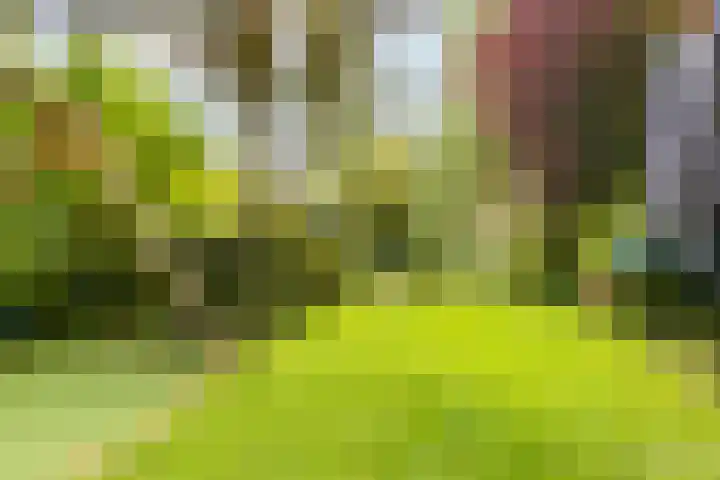 Winde 123 Zeewolde thumbnail 43