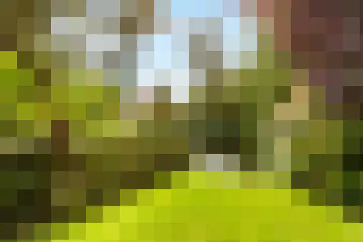 Winde 123 Zeewolde thumbnail 44