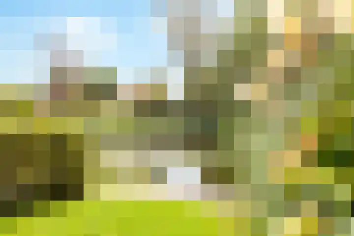 Winde 123 Zeewolde thumbnail 45