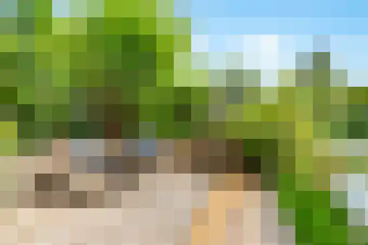 Winde 123 Zeewolde thumbnail 46