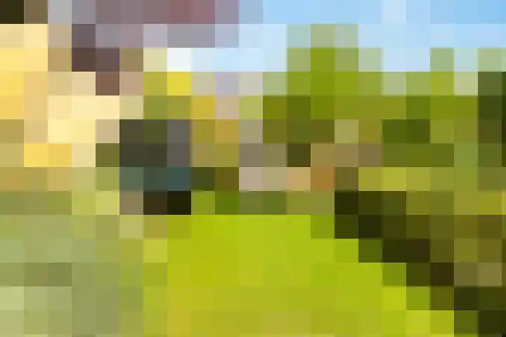 Winde 123 Zeewolde thumbnail 47