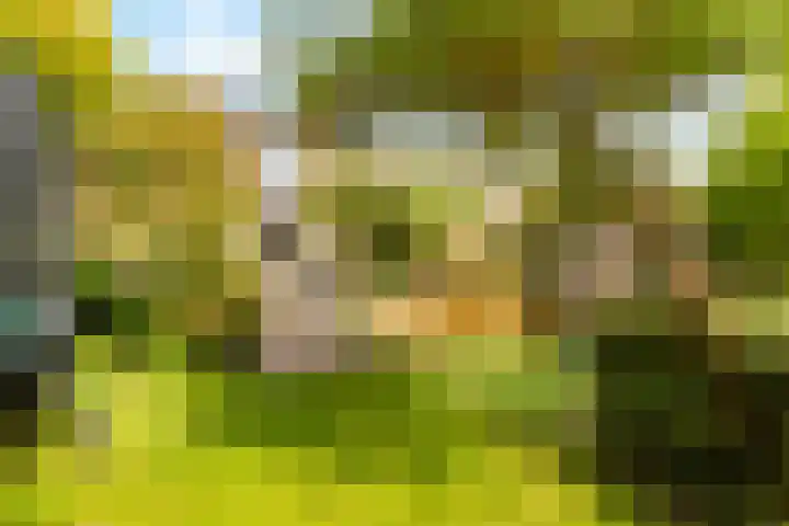 Winde 123 Zeewolde thumbnail 48