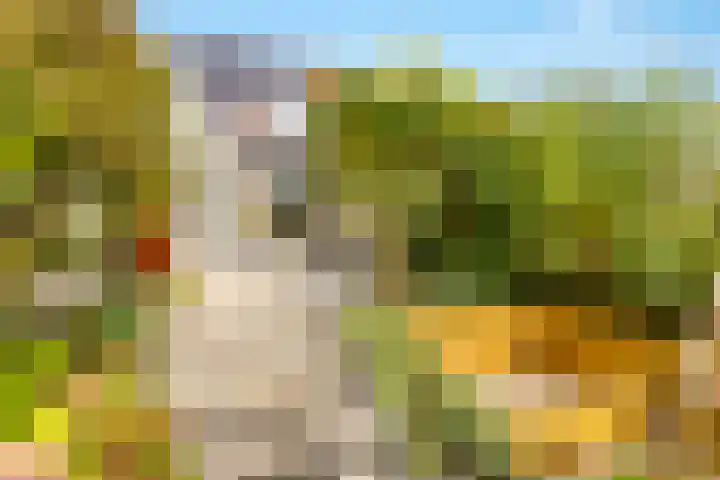 Winde 123 Zeewolde thumbnail 49