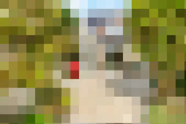 Winde 123 Zeewolde thumbnail 50
