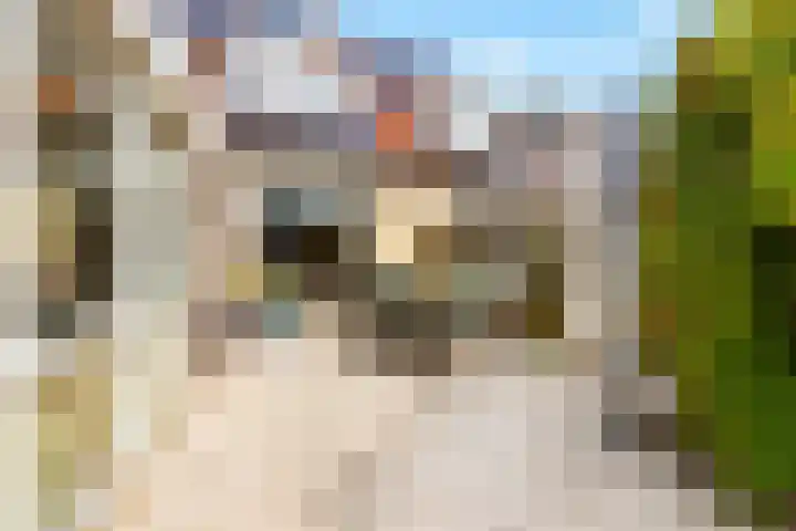 Winde 123 Zeewolde thumbnail 51