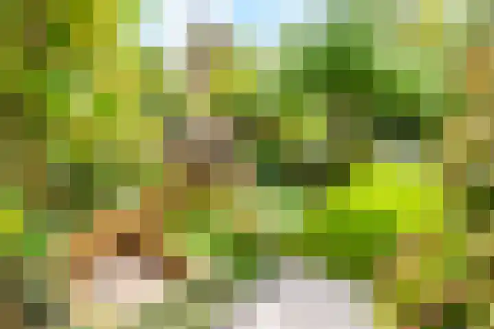 Winde 123 Zeewolde thumbnail 52