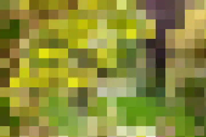 Winde 123 Zeewolde thumbnail 53
