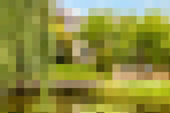 Winde 123 Zeewolde thumbnail 54