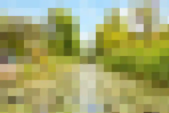 Winde 123 Zeewolde thumbnail 56