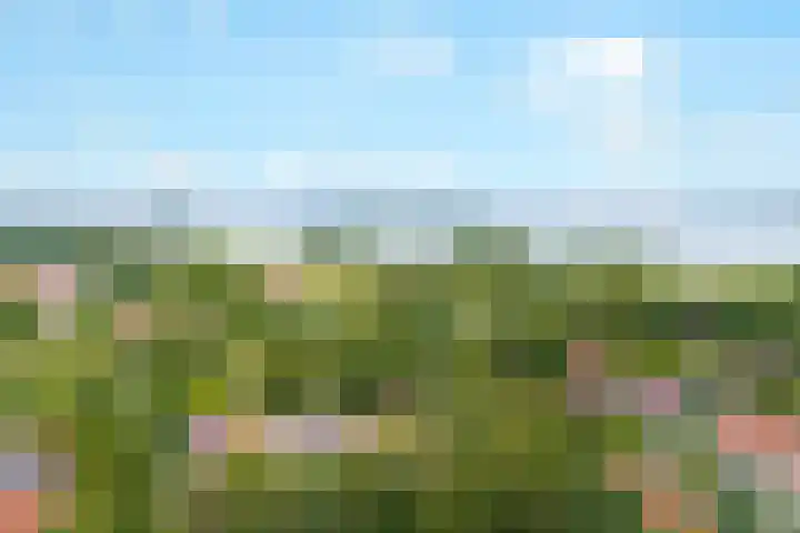 Winde 123 Zeewolde thumbnail 63