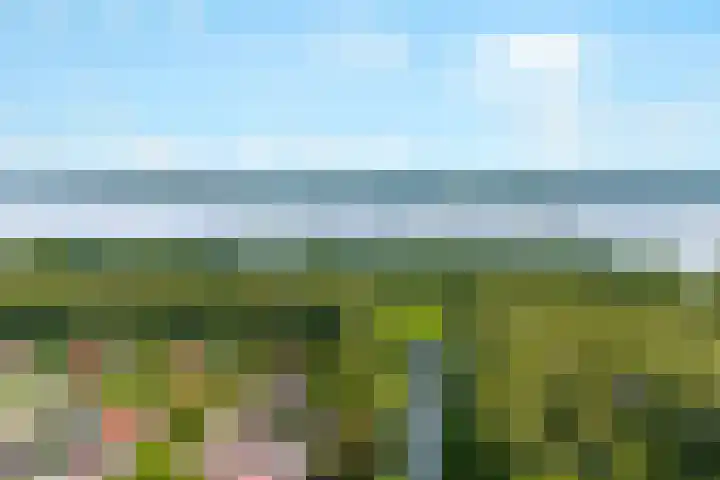 Winde 123 Zeewolde thumbnail 64