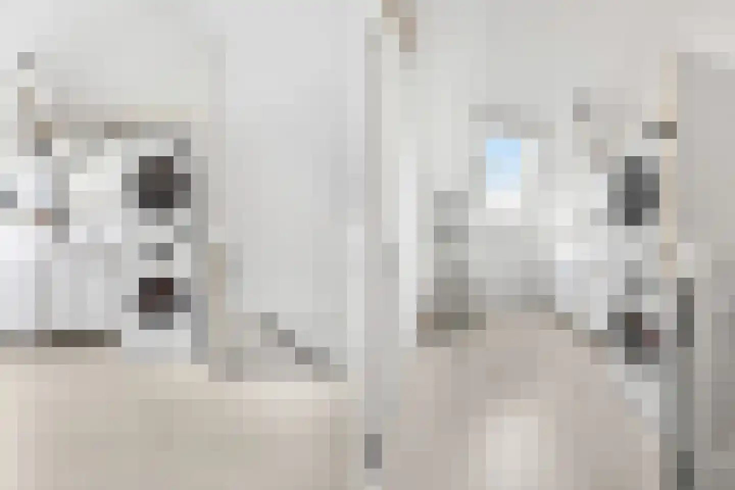 Winde 130 Zeewolde thumbnail 33