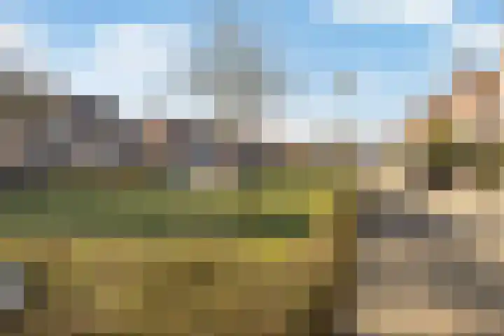 Winde 2 Assen thumbnail 12
