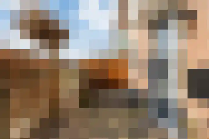 Winde 2 Assen thumbnail 15