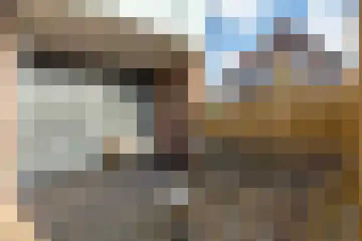 Winde 2 Assen thumbnail 17