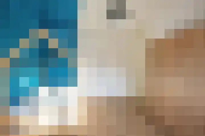 Winde 2 Assen thumbnail 42