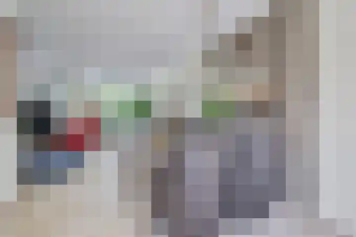 Winde 36 Zeewolde thumbnail 12