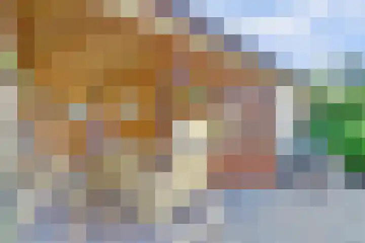 Winde 36 Zeewolde thumbnail 34