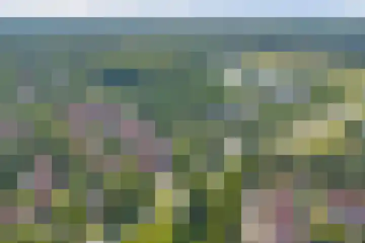 Winde 36 Zeewolde thumbnail 39