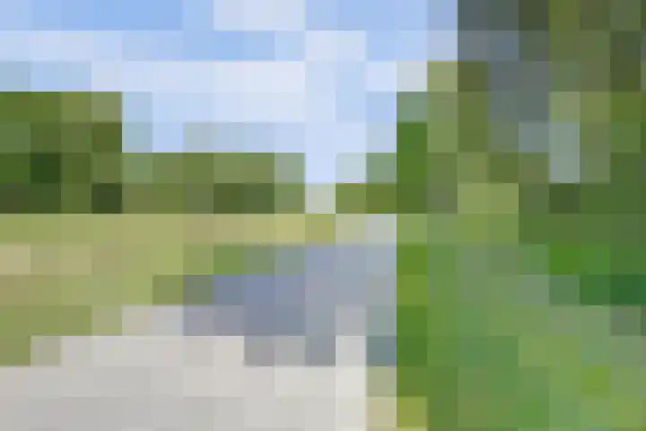 Winde 36 Zeewolde thumbnail 40