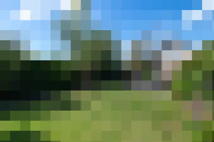 Winde 36 Zeewolde thumbnail 6