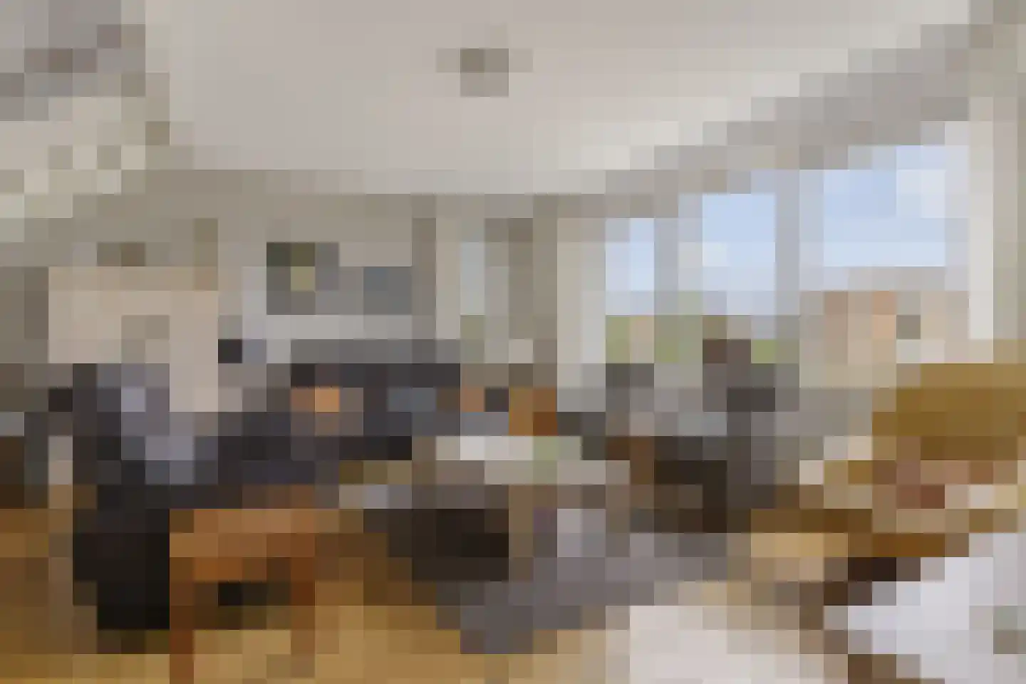 Winde 4 Hendrik-Ido-Ambacht thumbnail 13