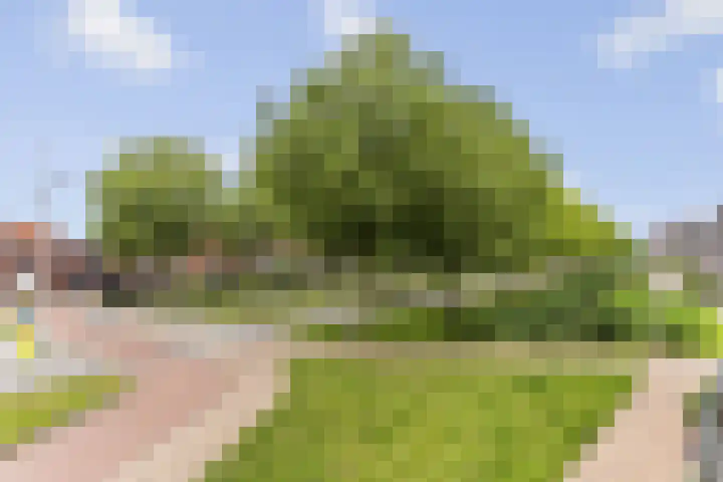 Winde 4 Hendrik-Ido-Ambacht thumbnail 24