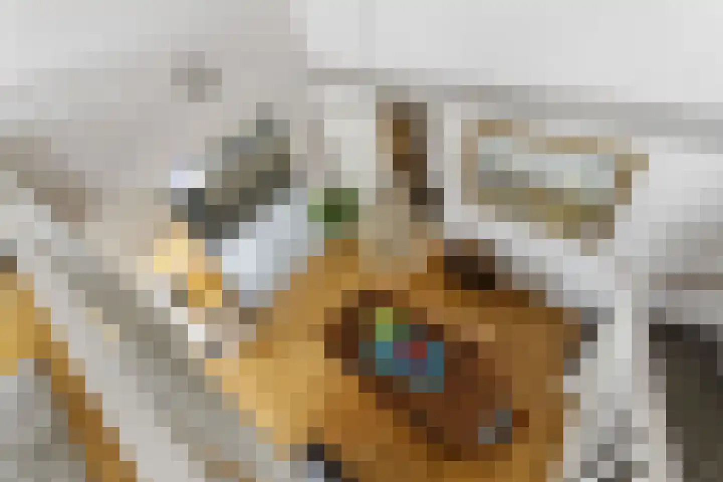 Winde 4 Hendrik-Ido-Ambacht thumbnail 26