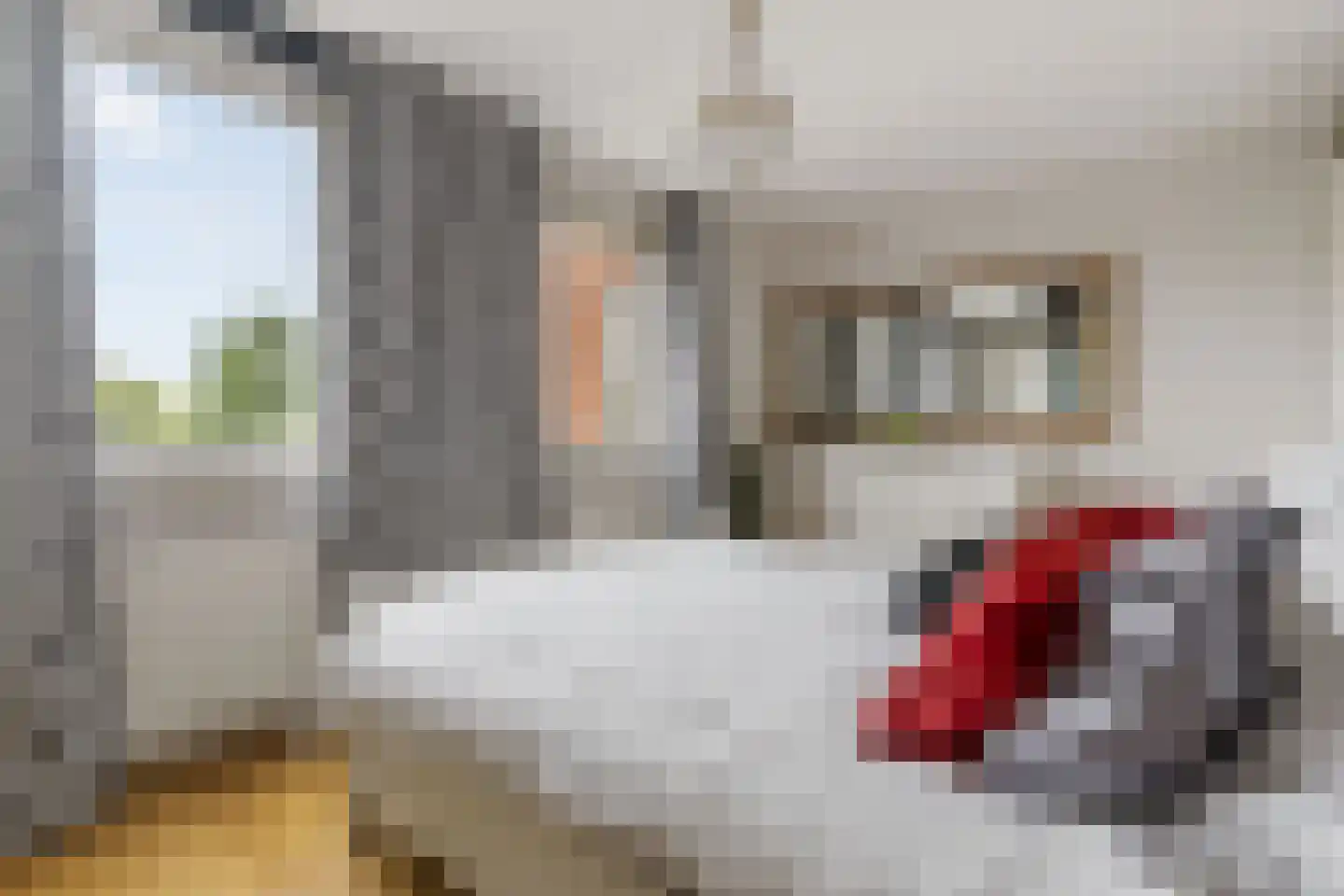Winde 4 Hendrik-Ido-Ambacht thumbnail 31