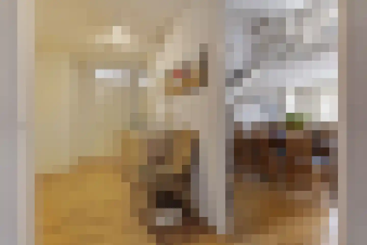Winde 4 Hendrik-Ido-Ambacht thumbnail 7
